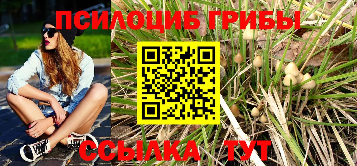 Галлюциногенные грибы Psilocybine cubensis Новоуральск
